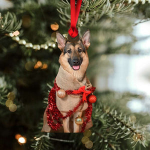 Gift For Dog Lover, Personalized Acrylic Ornament, Custom Image Upload Funny Dog Ornament, Christmas Gift 06PGHN190923 - Ornament - GoDuckee