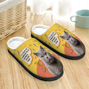 Naughty Cat Dog, Personalized Home Slippers, Gifts For Dog Cat Lovers - Shoes - GoDuckee
