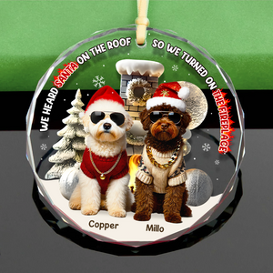 Custom Photo Gifts For Pet Lovers Christmas Ornament, Turned On The Fireplace 01tgpu281024 - Ornament - GoDuckee