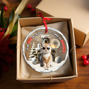 Custom Photo Gifts For Pet Lovers Christmas Ornament, Turned On The Fireplace 01tgpu281024 - Ornament - GoDuckee