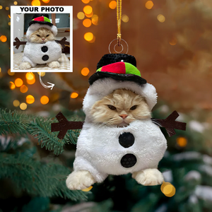 Custom Photo Gifts For Cat Lovers, Upload Cat Photo Christmas Ornament 26pgvp140924 - Ornament - GoDuckee