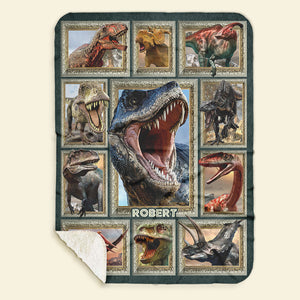 Personalized Gifts For Dinosaur Lover Blanket 03qhti271224 - Blanket - GoDuckee