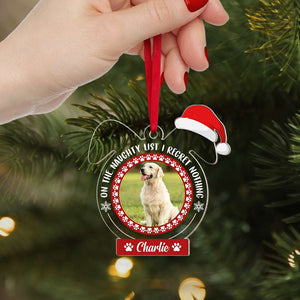 Gift For Dog Lover, Personalized Acrylic Ornament, Santa Hat Pet Ornament, Christmas Gift - Ornament - GoDuckee