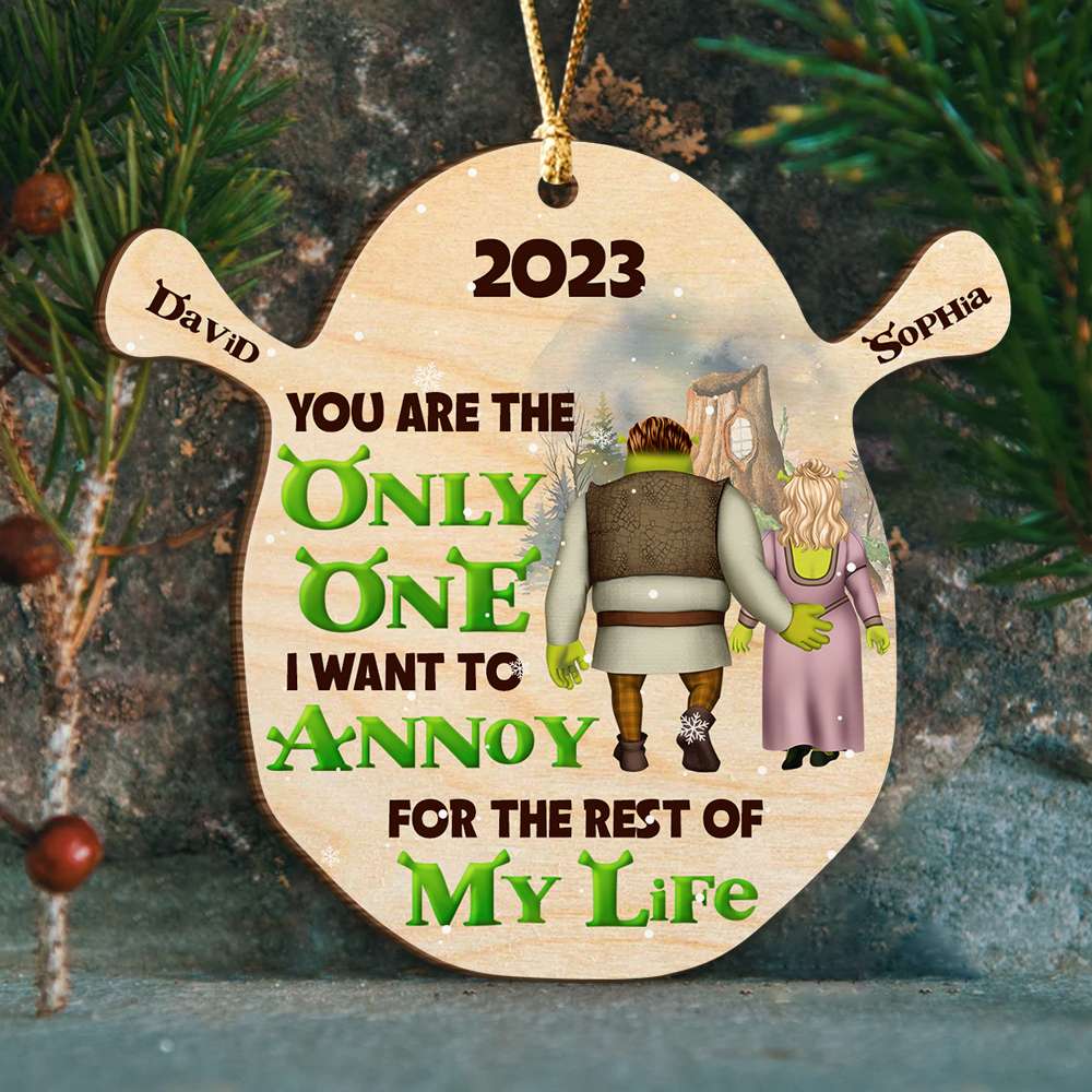 You Are The Only One 02ACDT181023HH Personalized Wood Ornament, Gifts For Couple - Ornament - GoDuckee