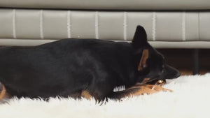 Pet Custom Shape Pillow, Upload Pet's Photo, Gift For Pet Lovers