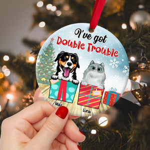 I've Got Double Trouble Personalized Dog Cat Ornament, Christmas Tree Decor - Ornament - GoDuckee