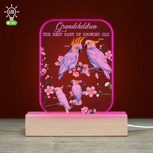 Cockatoo Bird Grandparents, Gift For Grandma Bird, Personalized Led Light Wooden Base - Led Night Light - GoDuckee