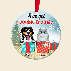 I've Got Double Trouble Personalized Dog Cat Ornament, Christmas Tree Decor - Ornament - GoDuckee