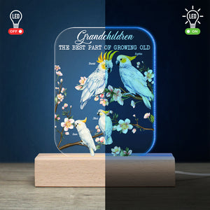 Cockatoo Bird Grandparents, Gift For Grandma Bird, Personalized Led Light Wooden Base - Led Night Light - GoDuckee