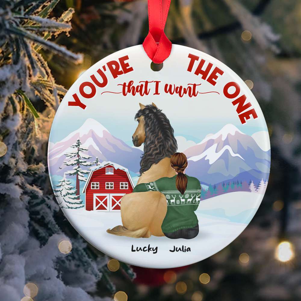 Horse You're The One That I Want, Personalized Ceramic Ornament - Ornament - GoDuckee
