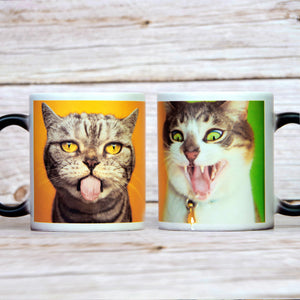 Custom Photo Magic Mug, Funny Gift For Cat Lovers, Cat Dad, Cat Mom - Magic Mug - GoDuckee