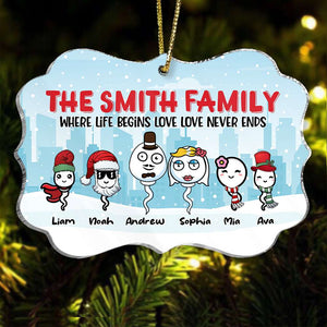 Family Where Life Begins And Love Never Ends Personalized Acrylic Ornament, Gift For Family - Ornament - GoDuckee