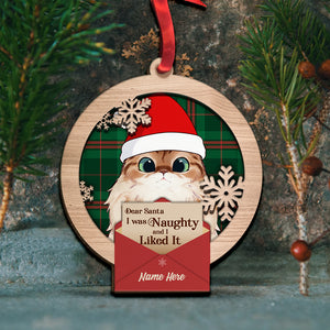 Cat Christmas Naughty and I Liked It - Personalized Ornament - Ornament - GoDuckee